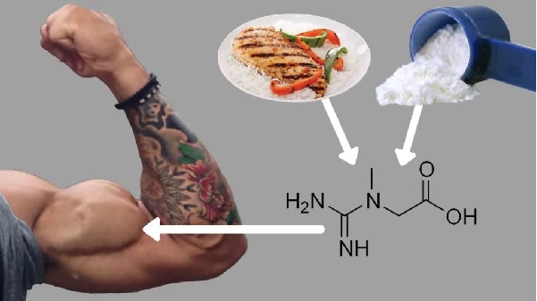 ¿Qué es la creatina realmente?